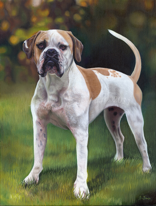 Roxy